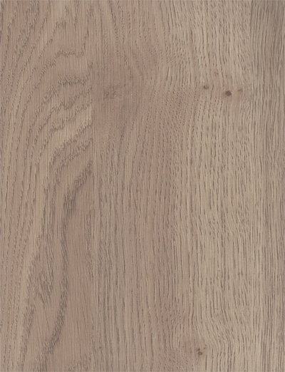 Дуб бежевый